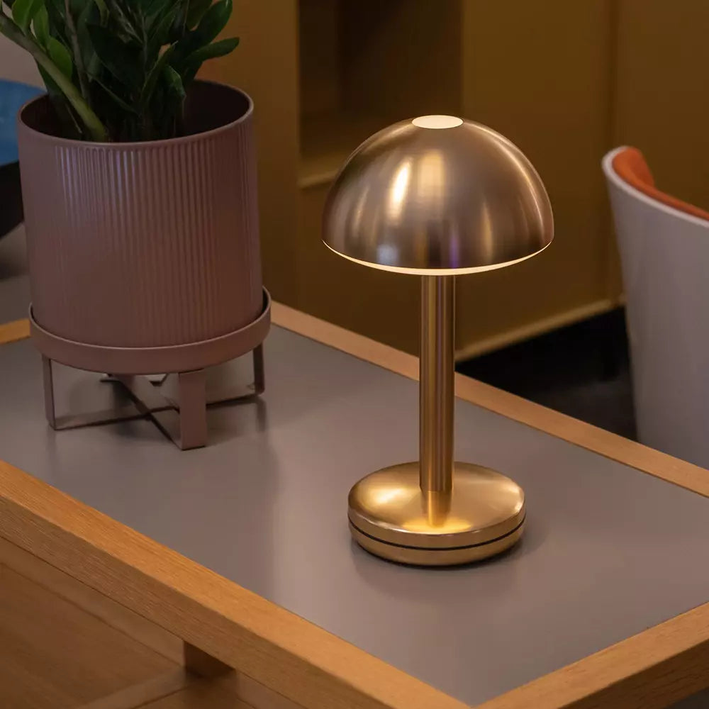 Bug Gold - GUNDT HOME